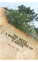 Meco & more legends of O Grove