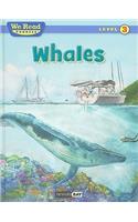 Whales