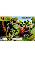 Bugs! Board Book