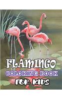 Flamingos Coloring Book: (Volume 1)