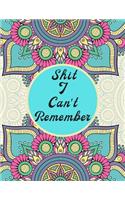 Shit I Can't Remember