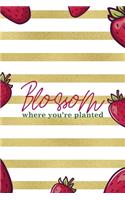 Blossom Where You're Planted