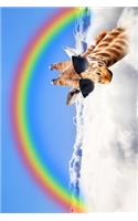 Giraffe Under The Rainbow