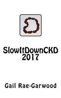 SlowItDownCKD 2017