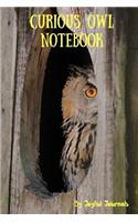 Curious Owl Notebook (Journal Diary) (Journal Notebook): 6 X 9 Small Notebook with 120 Pages of College Ruled Paper for Writing and Note Keeping