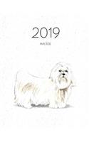 2019 Maltese: Dated Weekly Planner with to Do Notes & Dog Quotes - Maltese