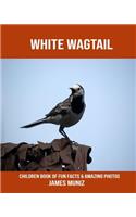 White Wagtail: Children Book of Fun Facts & Amazing Photos