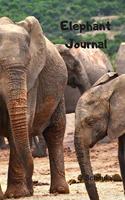 Elephant Journal