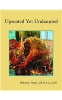 Uprooted Yet Undaunted