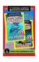 Everything You Should Know About: Dolphins and Sea Lions