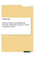 Business Strategy and Management Principles. Marketing Strategy of a Visual Commerce Startup