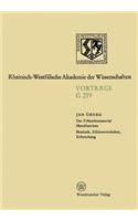 Geisteswissenschaften