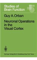 Neuronal Operations in the Visual Cortex