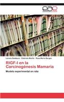Rigf-I En La Carcinogenesis Mamaria