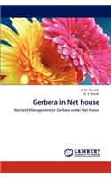 Gerbera in Net house