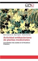 Actividad Antibacteriana de Plantas Medicinales