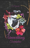 Unearthing Tourmaline