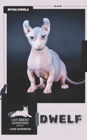 Dwelf: Cat breed overview, care handbook