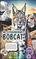 Extraordinary Bobcat, kids 5-16, Big Cat Coloring Book