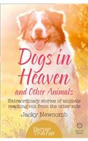 Dogs in Heaven