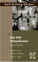 Gas Well Deliquification