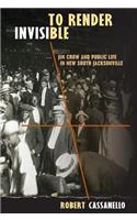 To Render Invisible: Jim Crow and Public Life in New South Jacksonville(English)
