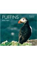 Puffins