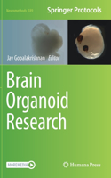 Brain Organoid Research