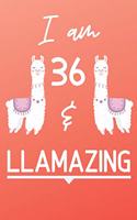 I Am 36 And Llamazing