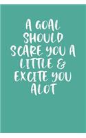 A Goal Should Scare You a Little & Excite You Alot