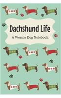 Dachshund Life