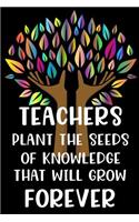 Teachers Plant the Seeds of Knowledge that Will Grow Forever