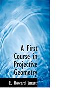 First Course in Projective Geometry