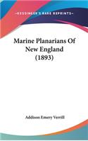 Marine Planarians of New England (1893)