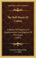 Boll Worm Of Cotton