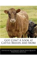 Got Cow? a Look at Cattle Breeds and More