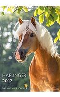 Haflinger Horses 2017 - by Das Haflinger Forum 2017