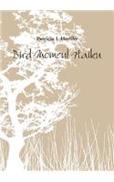 Bird Moment Haiku