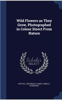 Wild Flowers as They Grow, Photographed in Colour Direct From Nature