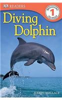 Diving Dolphin