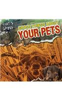 Gross Things about Your Pets
