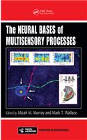 The Neural Bases of Multisensory Processes