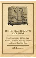 Natural History of Cage Birds - Their Management, Habits, Food, Diseases, Treatment, Breeding, and the Methods of Catching Them