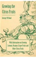 Growing the Citrus Fruits - With Information on Growing Lemons, Oranges, Grape Fruits and Other Citrus Fruits