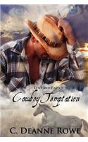 Cowboy Temptation - Colt and Cassy: Cowboy Temptation Series