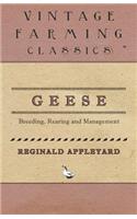Geese - Breeding, Rearing and Management