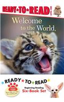 Zooborns Ready-To-Read Value Pack: Welcome to the World, Zooborns!; Nighty Night, Zooborns; Hello, Mommy Zooborns!; I Love You, Zooborns!; Splish, Splash, Zooborns!; Snuggle Up, Zoobo(Zooborns)