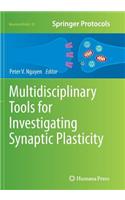 Multidisciplinary Tools for Investigating Synaptic Plasticity