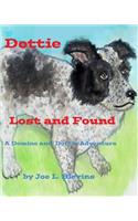 Dottie Lost and Found