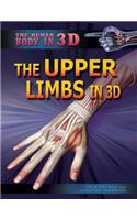 Upper Limbs in 3D